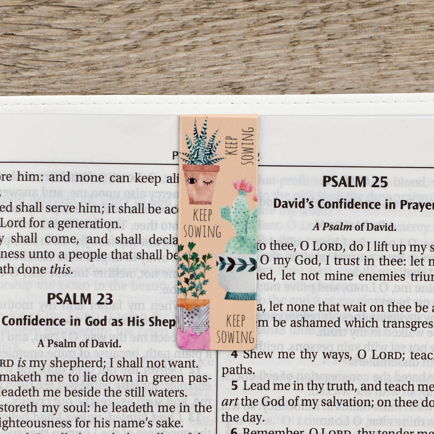 Christian Art Gifts - Magnetic Bookmark Set Grow in Grace