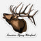 Bull Elk Sticker