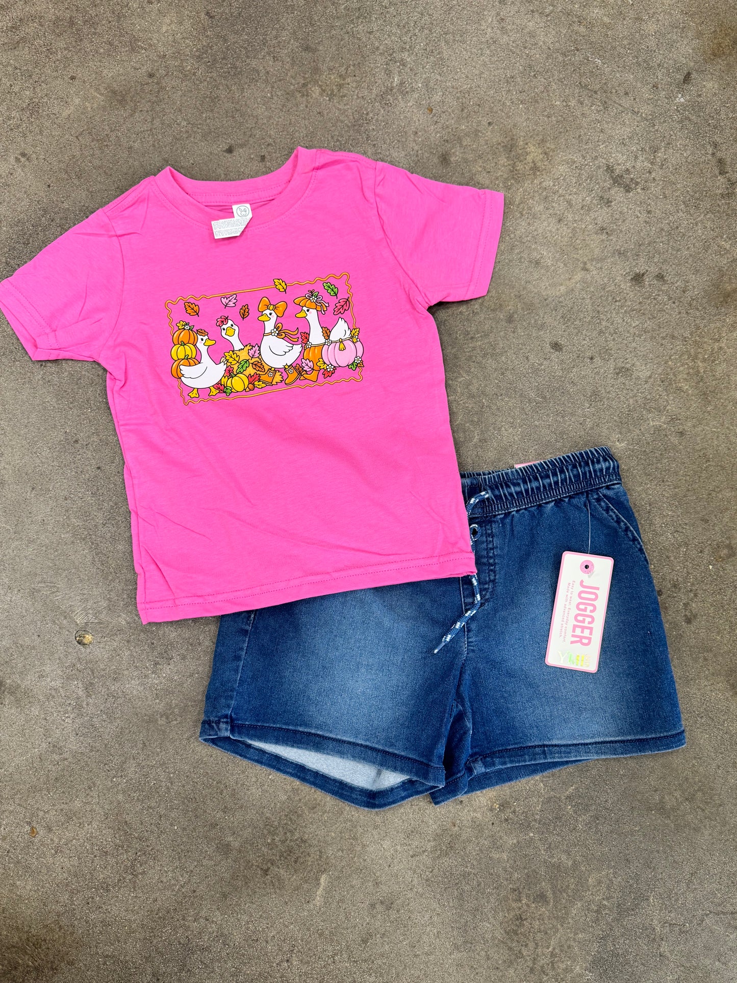 Youth pumpkin goose shirt