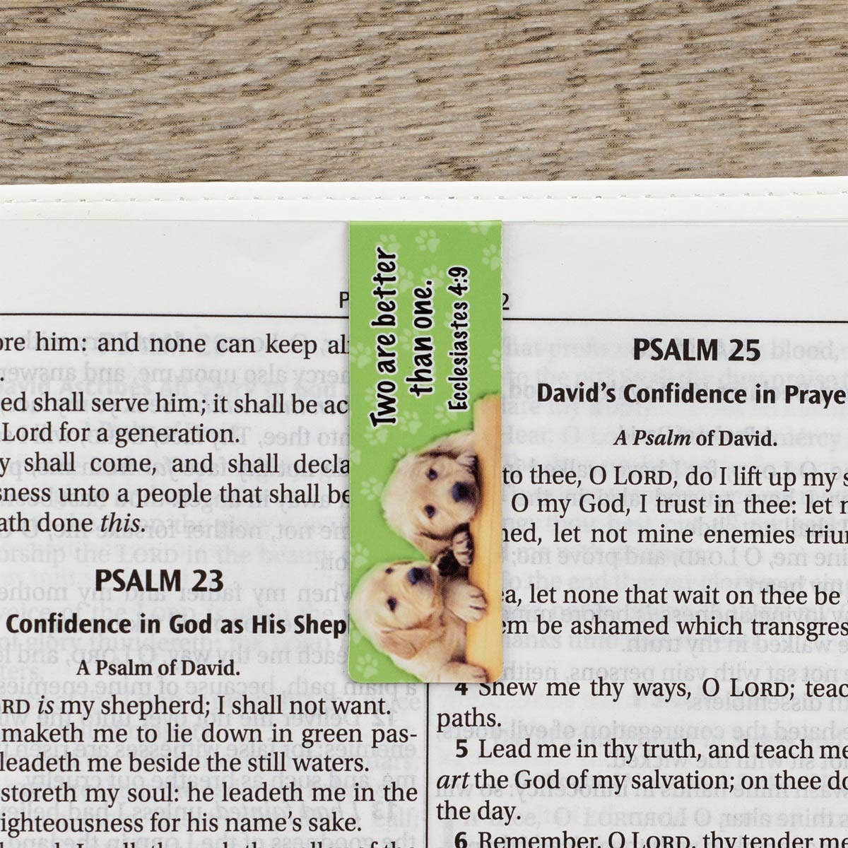 Christian Art Gifts - Magnetic Bookmark Set Special Treasure