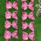 Kids Charm Online - WILD ROSE 5.5" INCH HAIR BOWS 12PCS/$6.50 BW-149-5