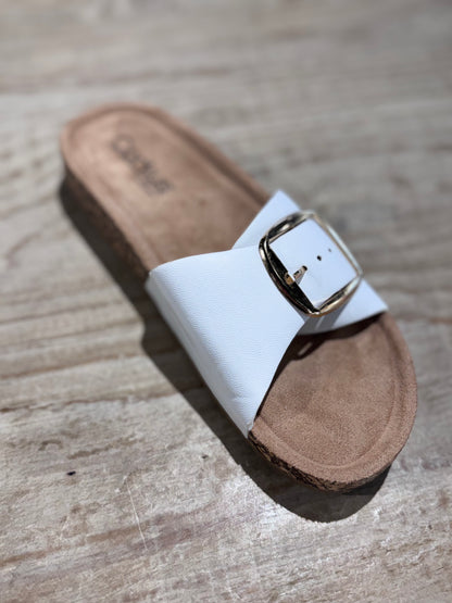 Corky’s Road Trip Slides