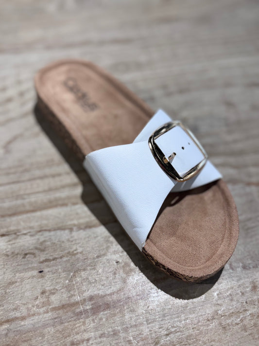 Corky’s Road Trip Slides