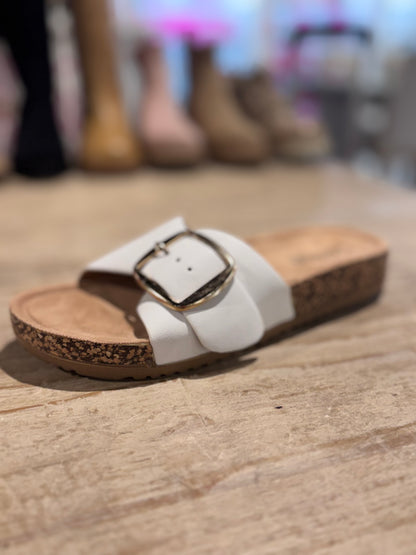 Corky’s Road Trip Slides