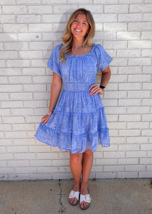 Blue Textured Easel Dress
