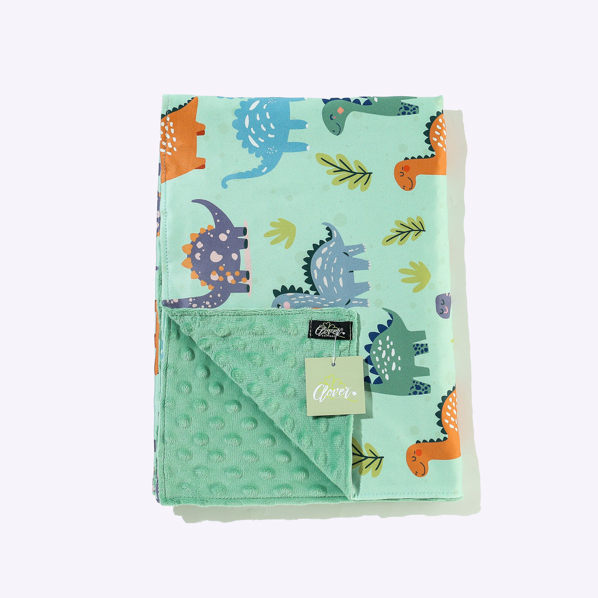 Dino Land Blanket