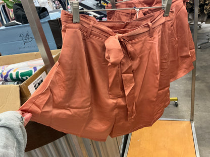 Silky Dress Shorts
