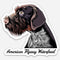 German Wirehaired Pointer Sticker