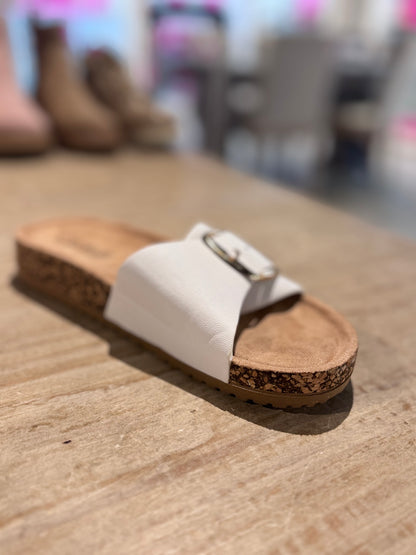 Corky’s Road Trip Slides