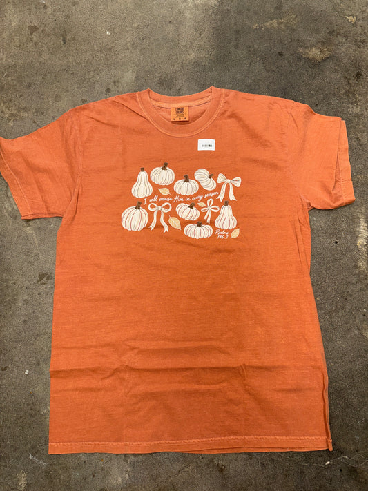 I will praise Him in every season comfort color tshirt