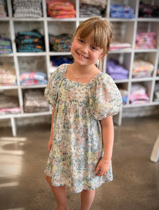 The Shimmer Shack Tween Hayden Organza Dress