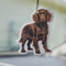 Scent south- brown dog- black ice air freshener