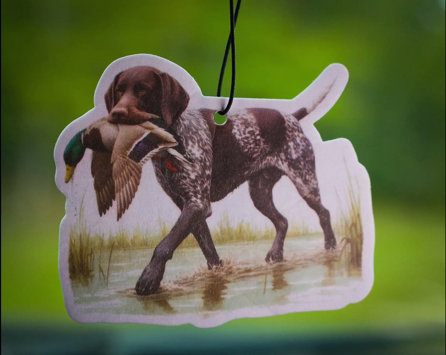 Scent south- duck dog- leather air/car freshener