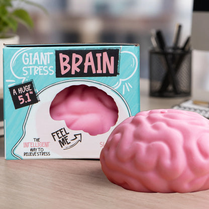 The Shimmer Shack Big Brain Squishy