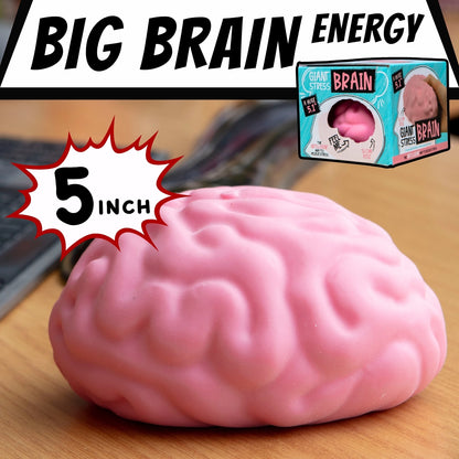 The Shimmer Shack Big Brain Squishy