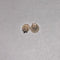 Star Diamond Stud Earrings