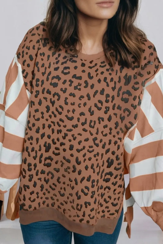 The Shimmer Shack Extended plus leopard sweater