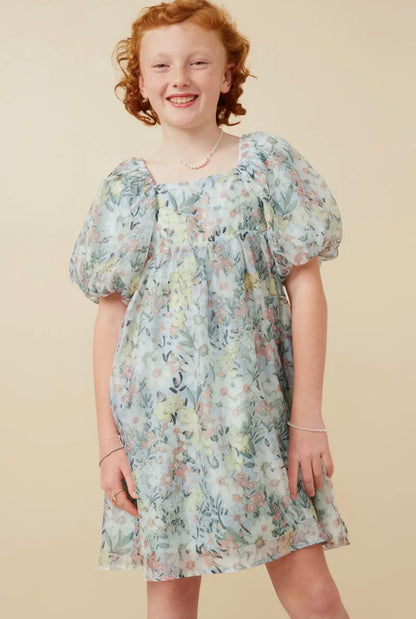 The Shimmer Shack Tween Hayden Organza Dress