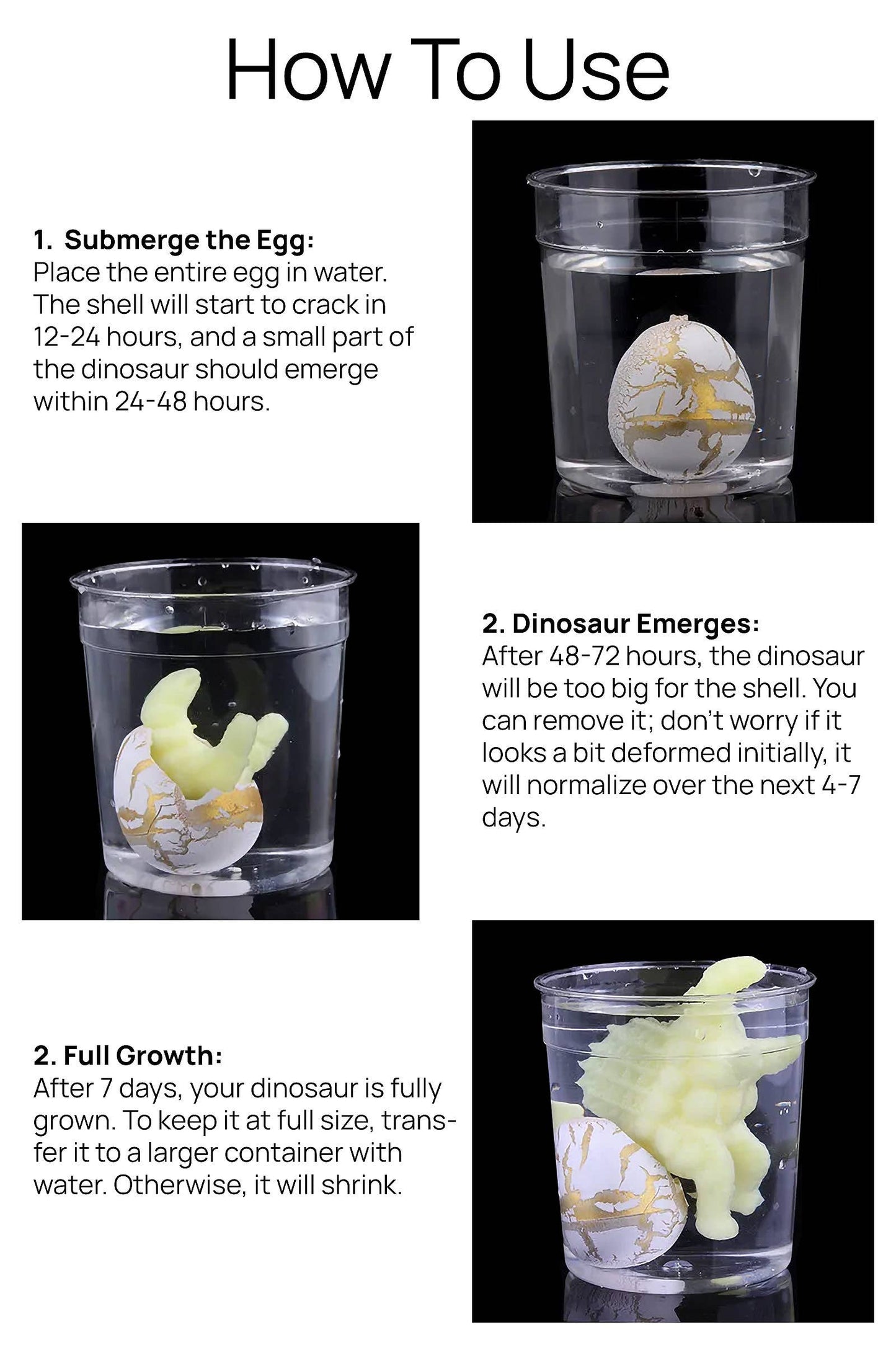 Cap Zone - Mini Dinosaur Water Grow and Hatch Egg - 60 Pcs