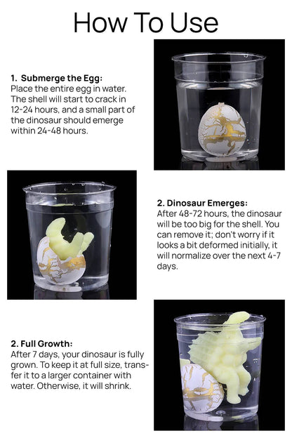Cap Zone - Mini Dinosaur Water Grow and Hatch Egg - 60 Pcs