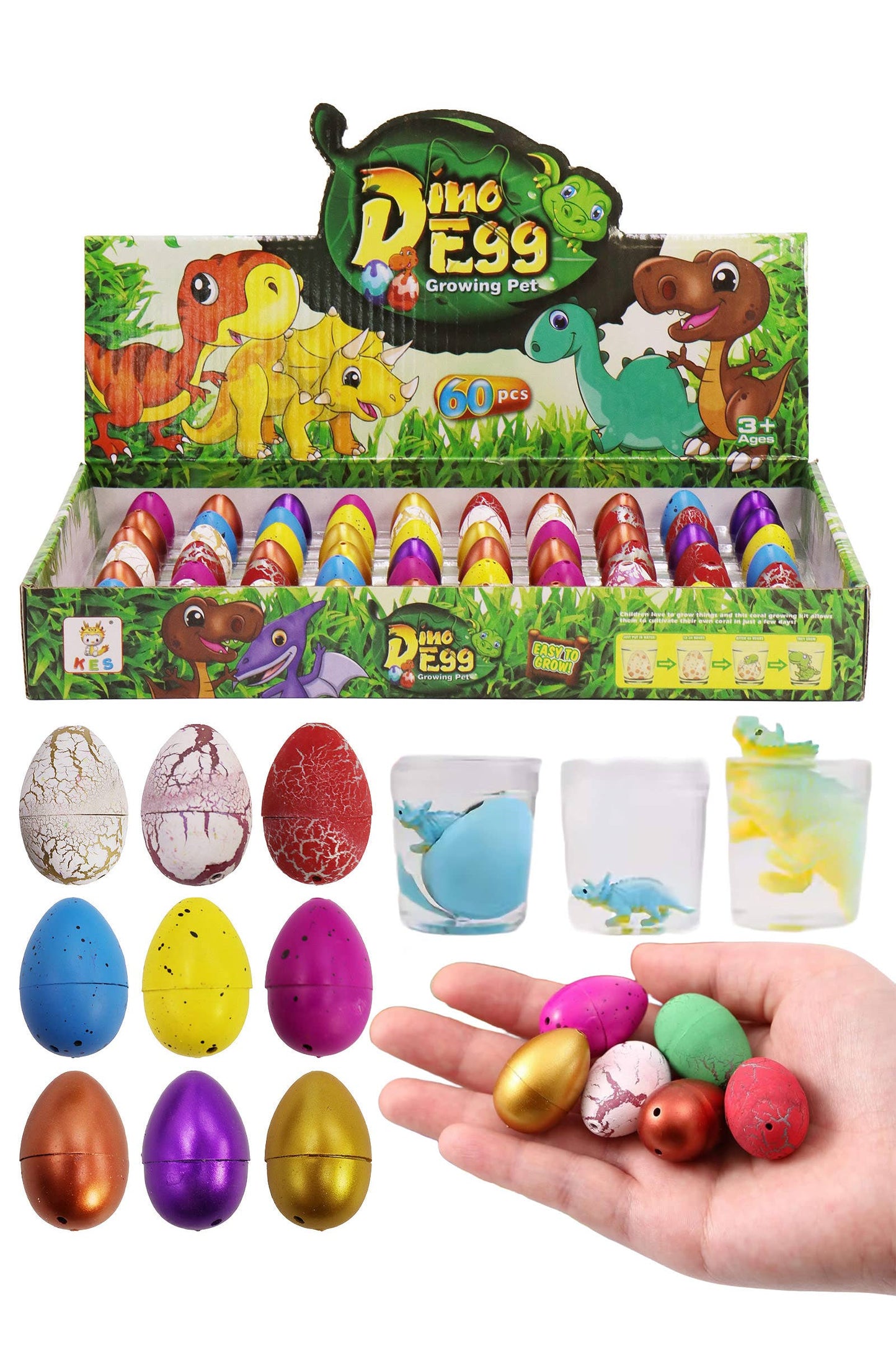 Cap Zone - Mini Dinosaur Water Grow and Hatch Egg - 60 Pcs