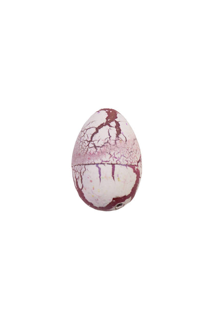Cap Zone - Mini Dinosaur Water Grow and Hatch Egg - 60 Pcs