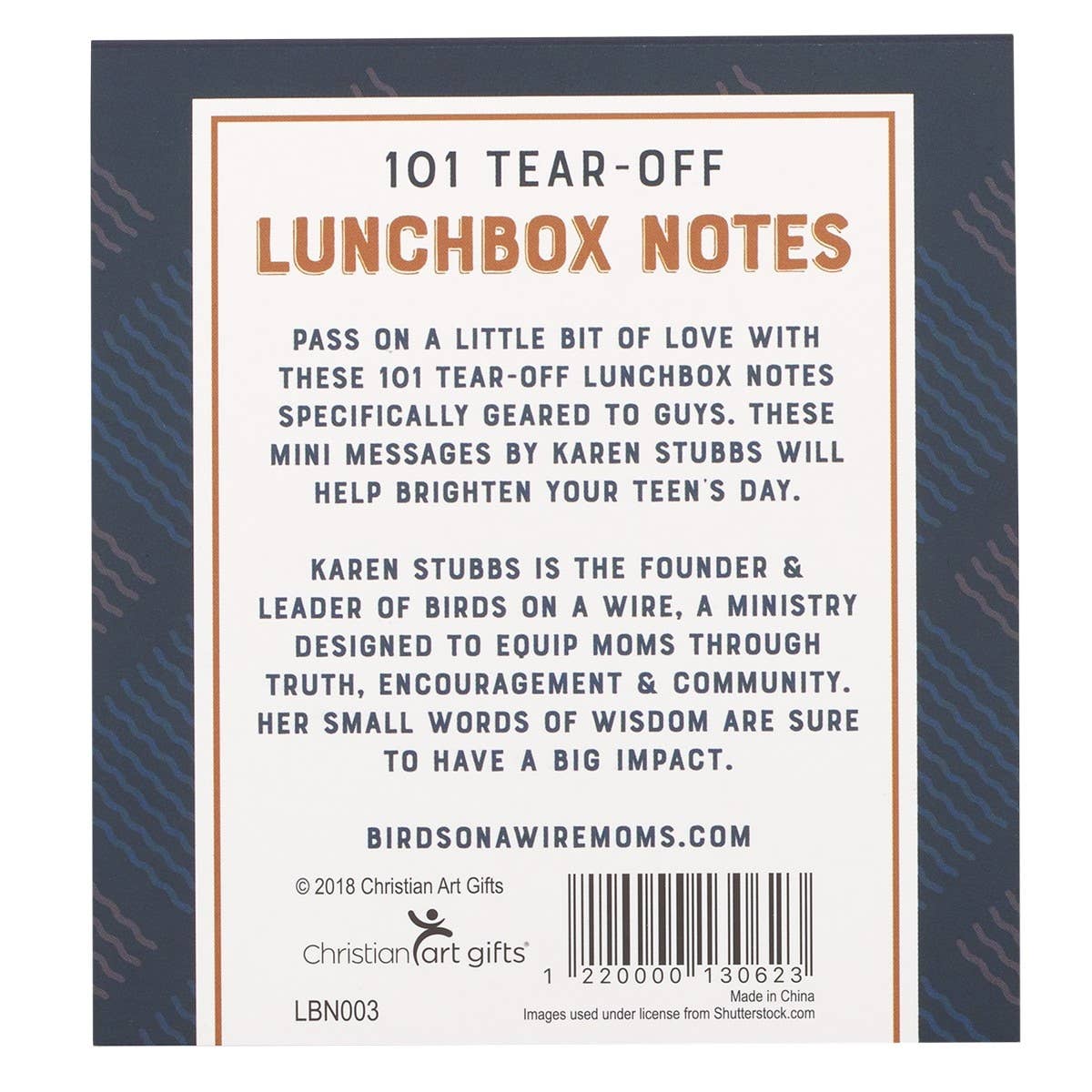Christian Art Gifts - 101 Lunchbox Notes for Guys